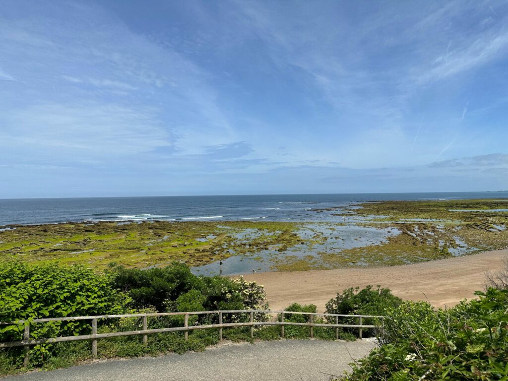 Cenitz SaintJeandeLuz Surf Spot Guide, Forecast, cam & more