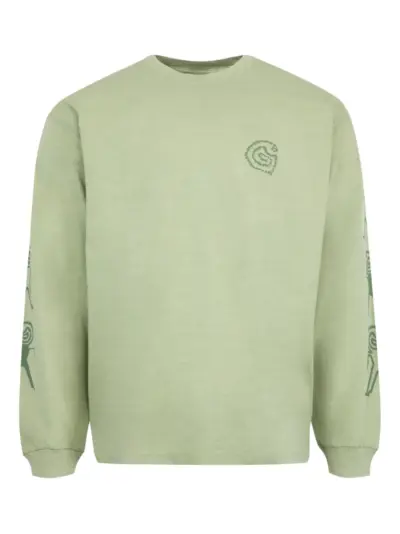 Carhartt WIP Terrestrial long-sleeve graphic-print T-shirt - Green