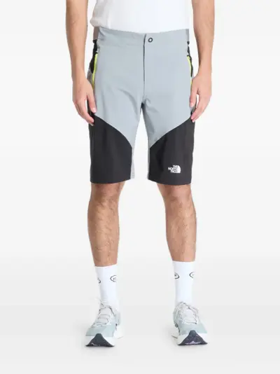 The North Face Felik shorts - Grey