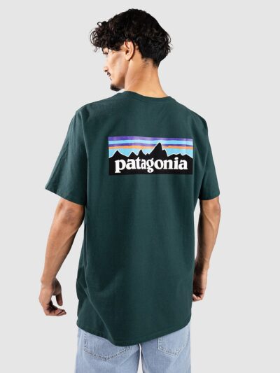 Patagonia P-6 Logo Responsibili T-Shirt cascade green