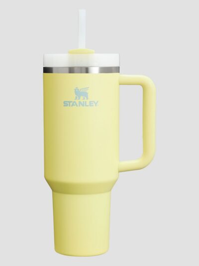 Stanley The Quencher H2.O FlowState Tumbler Bottle pomelo