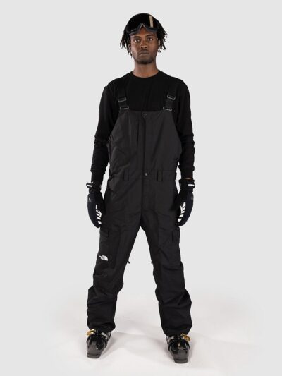 THE NORTH FACE Freedom Bib Pants npf