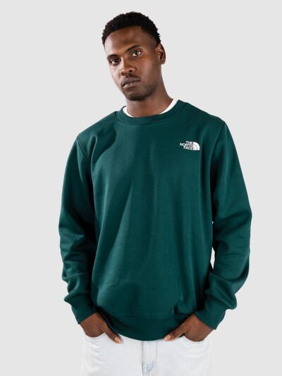 THE NORTH FACE Simple Dome Sweater hunter green